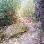 Nico Trail Perugia Vecchia Park