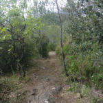 Gobbetto Trail Perugia Vecchia Park
