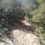 Nico Trail Perugia Vecchia Park