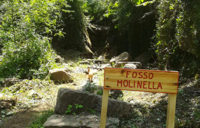 Fosso della Molinella Perugia Vecchia Park